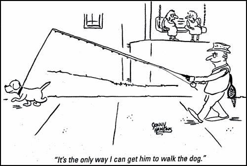 haioase - 139327010151925847160186928363829n.jpg